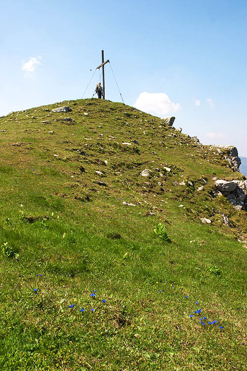 CRW_4488.jpg
