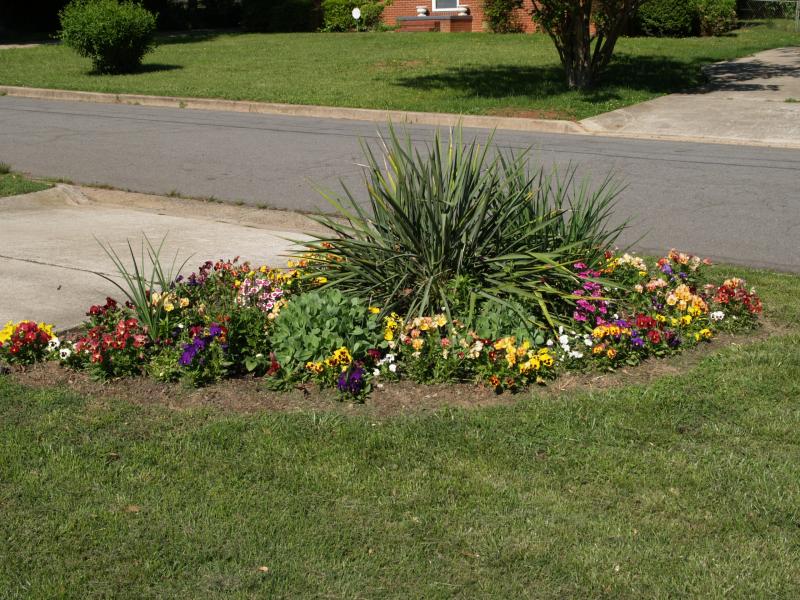 Front Yard Flower Garden