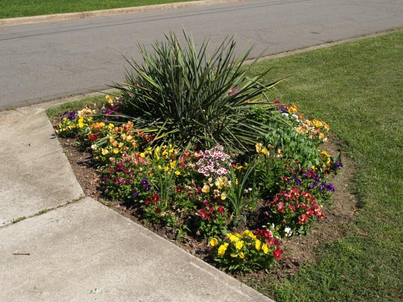 Front Yard Flower Garden