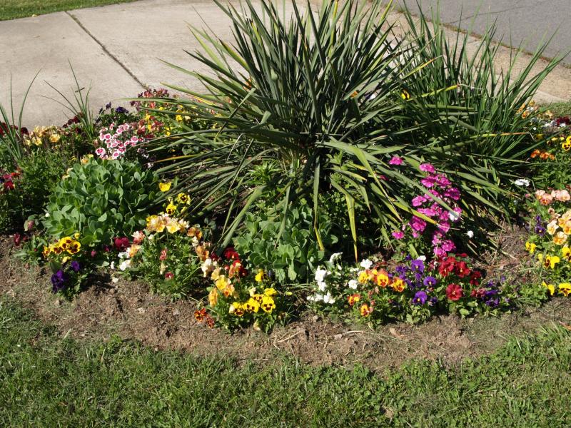 Front Yard Flower Garden