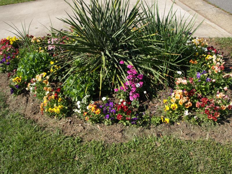 Front Yard Flower Garden