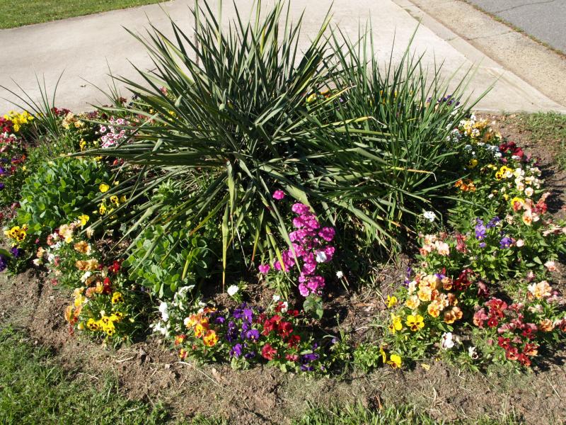 Front Yard Flower Garden