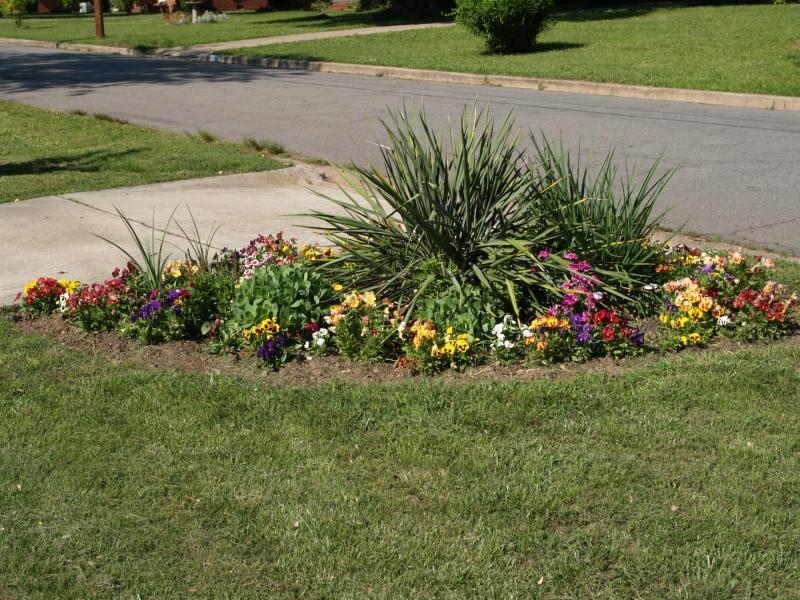 Front Yard Flower Garden
