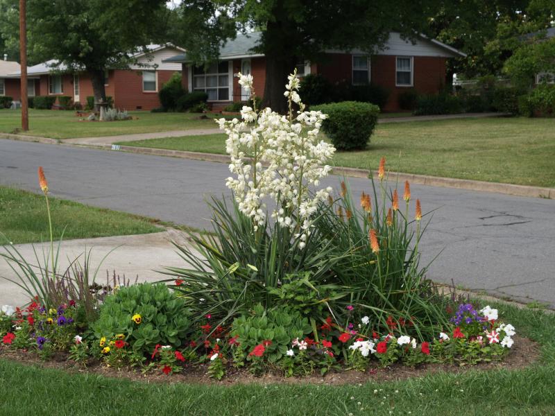 Front Yard Flower Garden