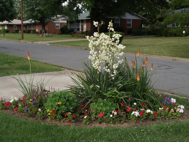 Front Yard Flower Garden