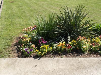 Front Yard Flower Garden