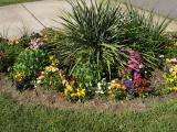 Front Yard Flower Garden