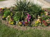 Front Yard Flower Garden