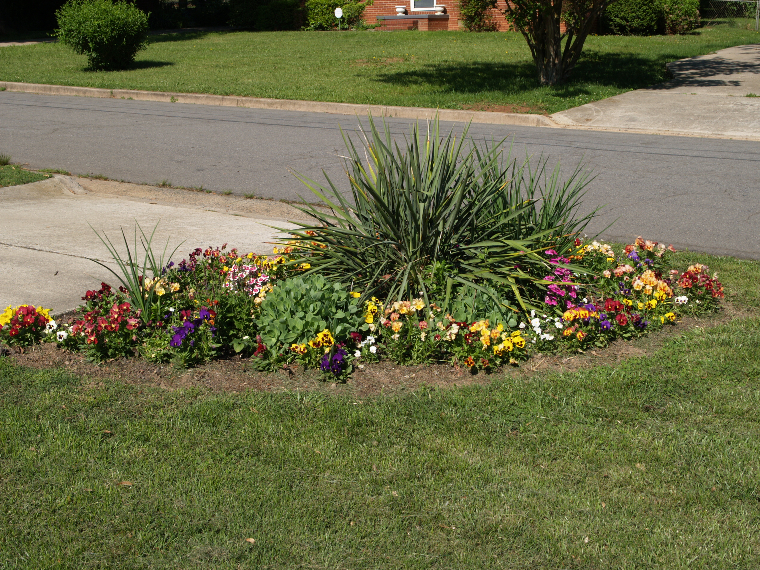 Front Yard Flower Garden
