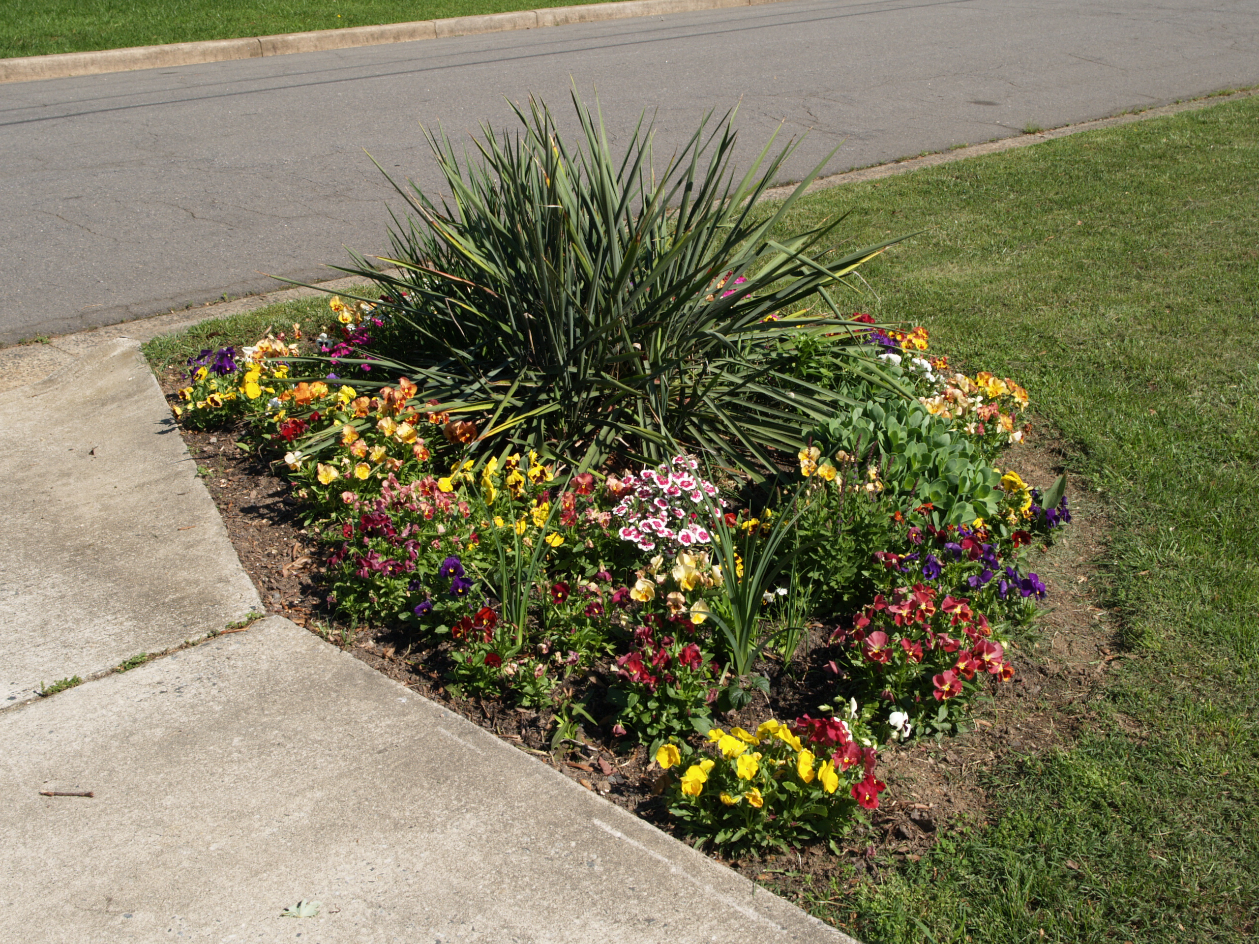Front Yard Flower Garden