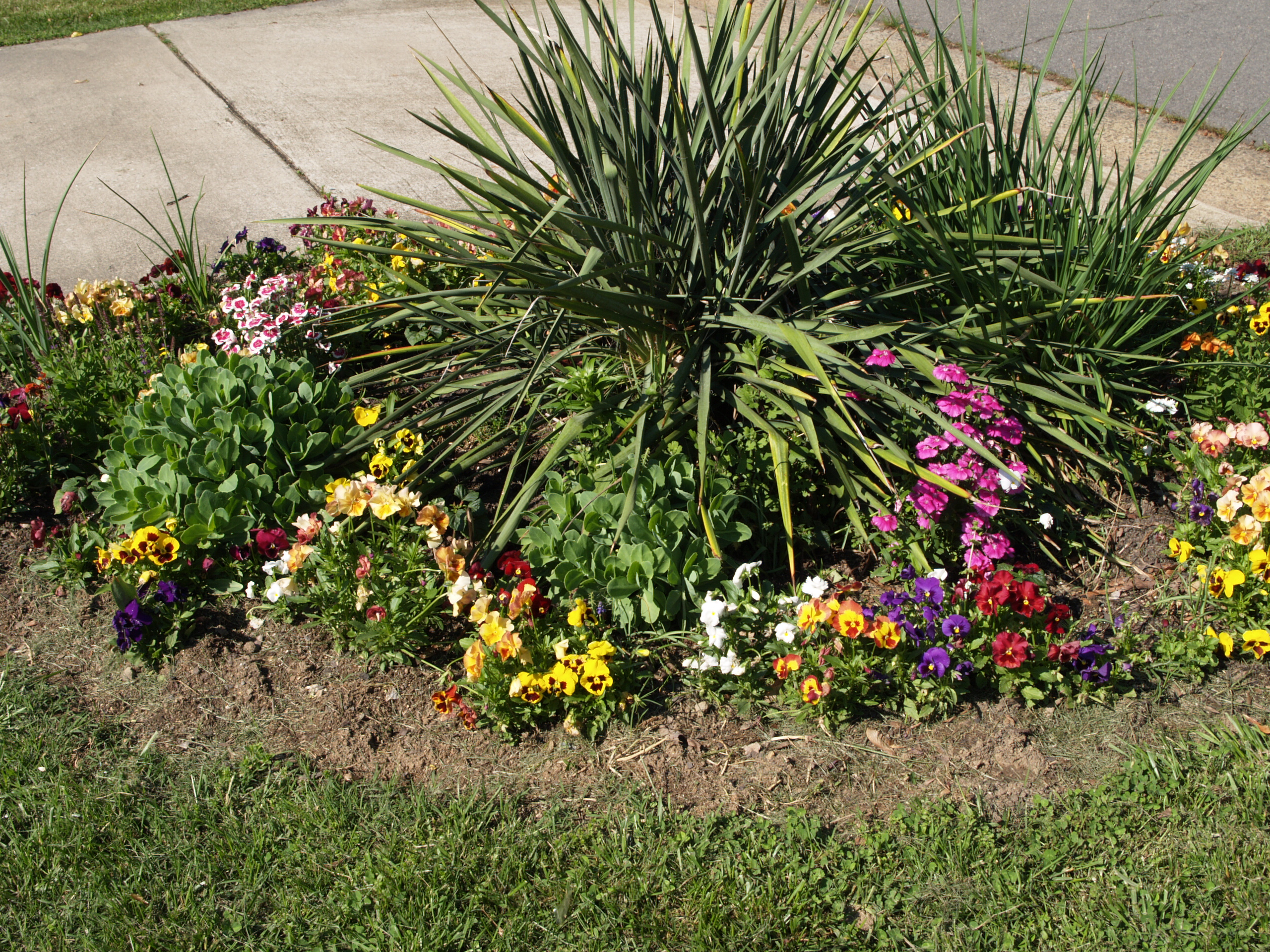 Front Yard Flower Garden