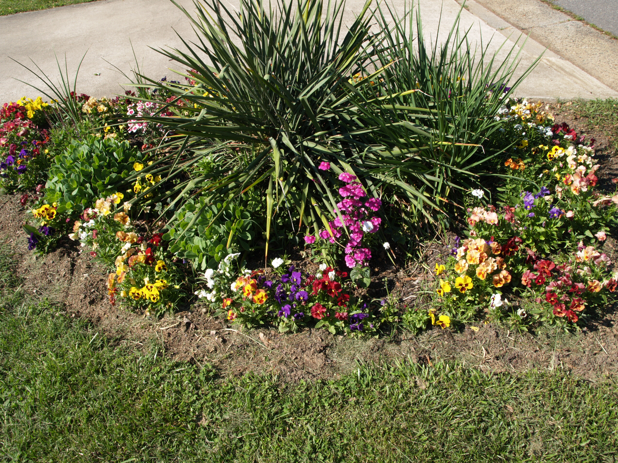 Front Yard Flower Garden