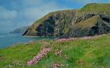 Ceibwr Bay, Pembrokeshire