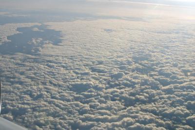 IMG_4932.jpg