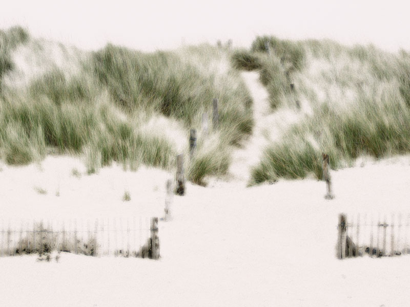 01/03/05 - On the Beach - Tribute to Neil Young