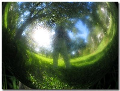 Self Portrait in the Round