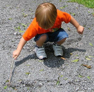 Little Boys and Sticks