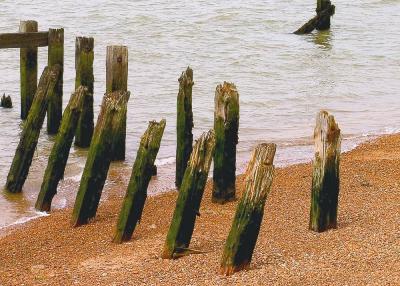 Landguard Point 16.jpg