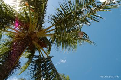 web_DSC2289.jpg