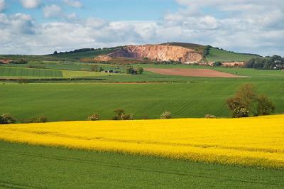 Colorful Farmscape