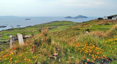 Scariff Islands, Ring of Kerry