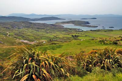 Scariff Bay, Ring of Kerry