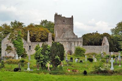 Muckross Abbey, Killarney