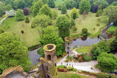 View from Atop Blarney Castle