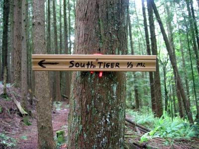 South Tiger sign