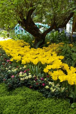 BELLAGIO CONSERVATORY