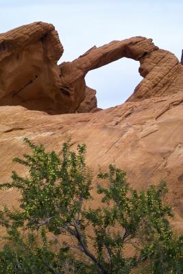 DELICATE ARCH