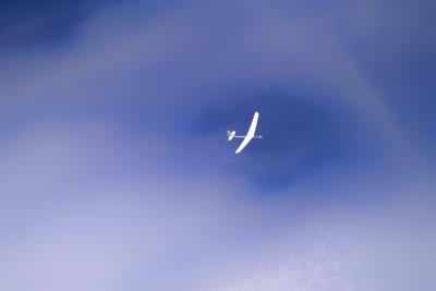 EXHILARATION