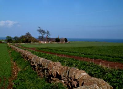 Farm