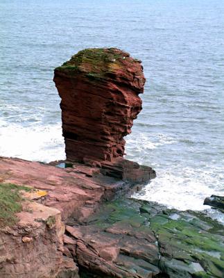 Seaton Cliffs