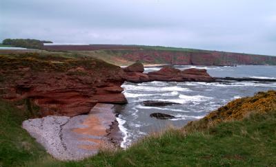 Seaton Cliffs