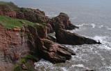 Seaton Cliffs