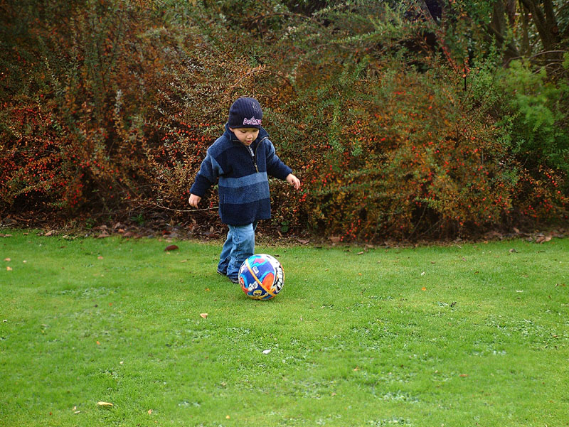 Max playing ball.