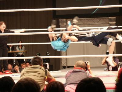 jpro002.JPG