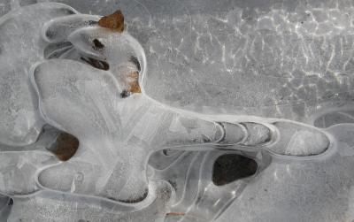 u46/hartmut_e_huber/medium/35291316.Ice1.jpg