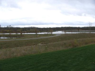 One of several lakes in Millenium Park