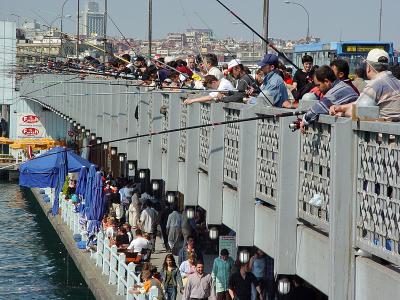 Galata Bridge fishermen