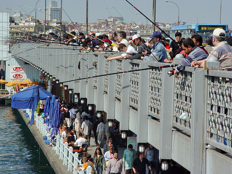 Galata Bridge fishermen