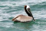 IMG_7511 coast.jpg