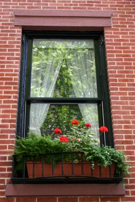 W 11th Street Window Flower Box
