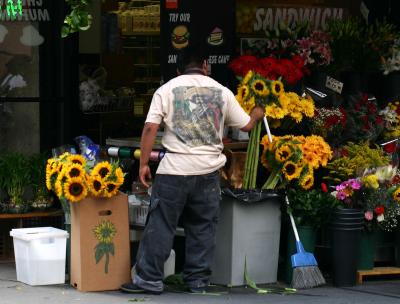 Greenwich Village Flower Vender on 3rd & Thompson Streets