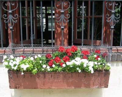 Flower Box