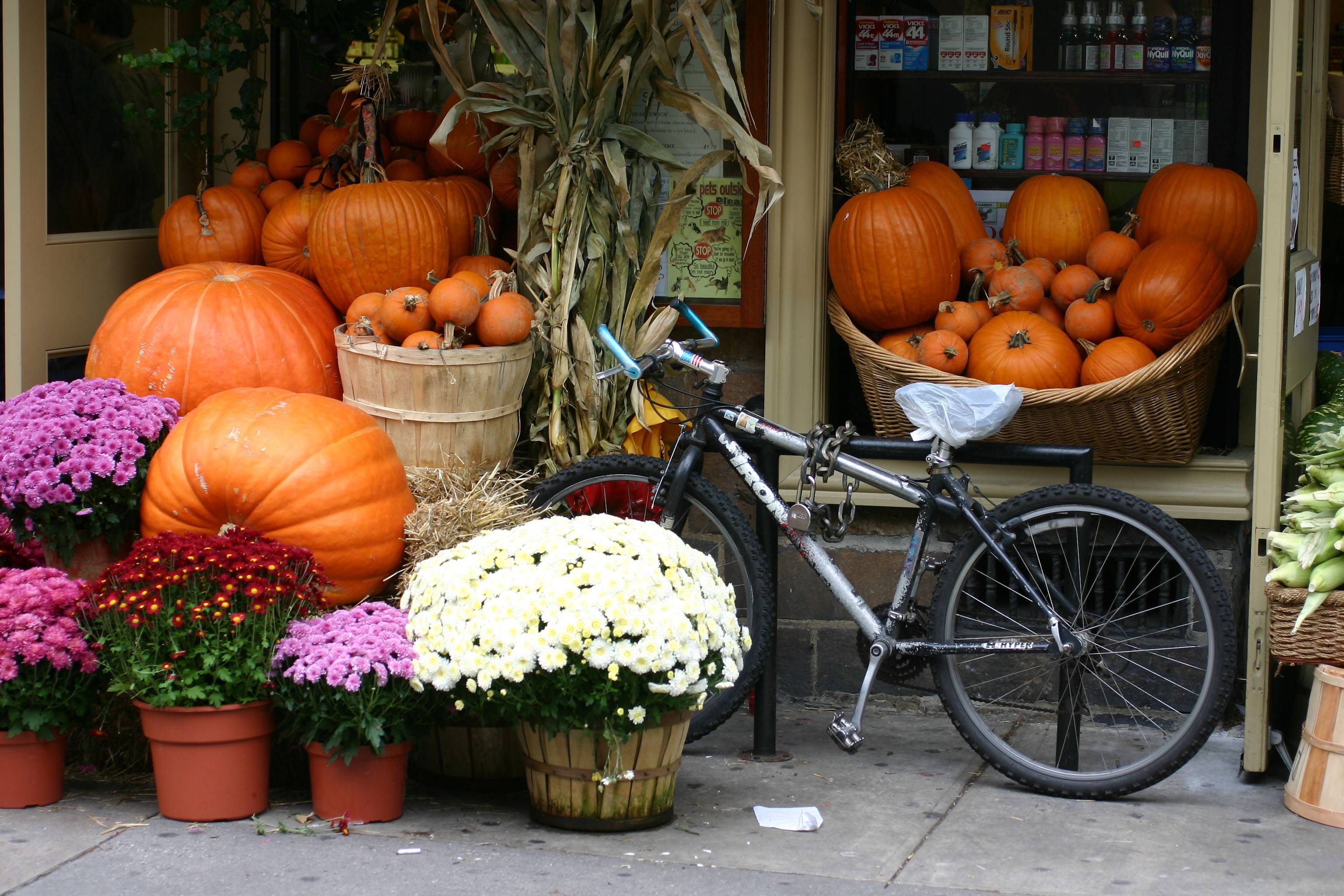 A Convenience and Comfort Store on University Place in Greenwich Village, NYC