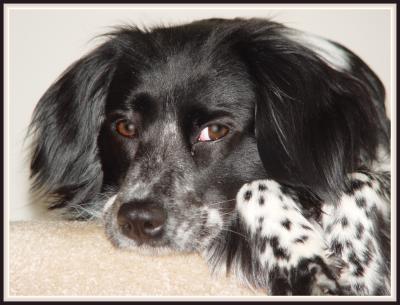 Baillee Bonitta 06-01-2004