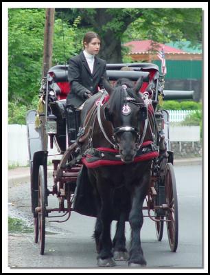 Tours by horse-drawn carriage