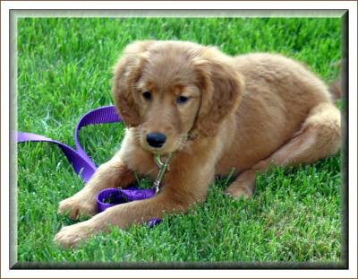 Sammy 060804